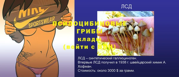 ПСИЛОЦИБИНОВЫЕ ГРИБЫ Белоозёрский