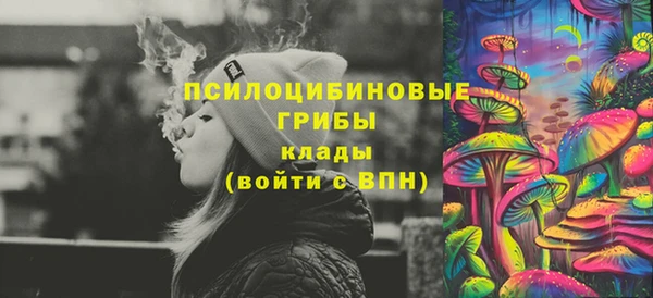 амф Белокуриха