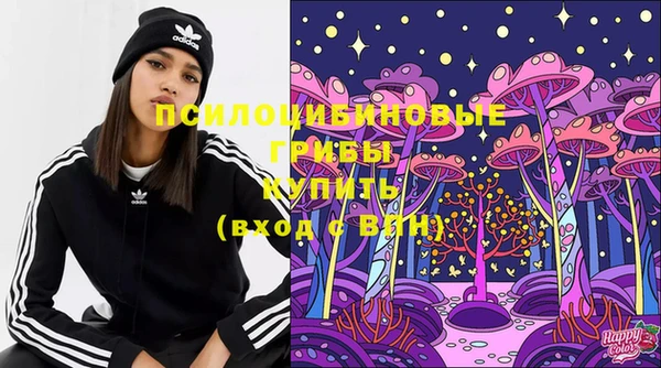 ПСИЛОЦИБИНОВЫЕ ГРИБЫ Белоозёрский
